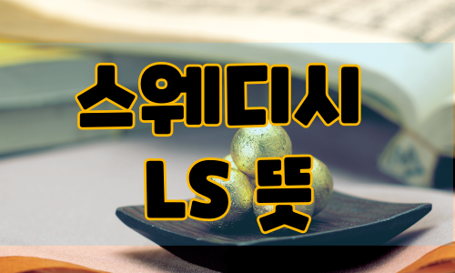 스웨디시 LS 뜻