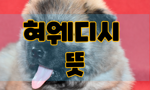 혀웨디시 뜻,