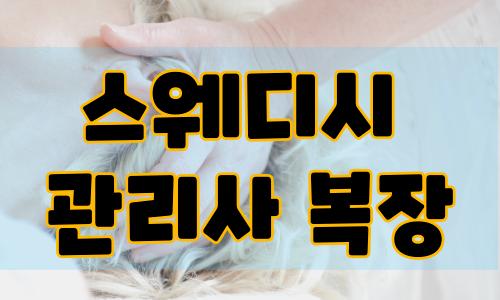 스웨디시 관리사 복장