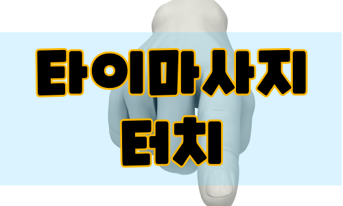 타이마사지 터치