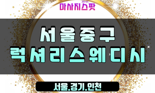 서울 중구 럭셔리스웨디시, 서울출장스웨디시, 프리미엄 홈케어 스웨디시