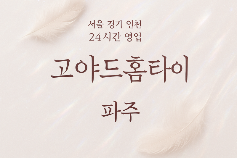 와동동고야드홈타이, 와동동출장마사지, 파주홈타이, 24시방문마사지