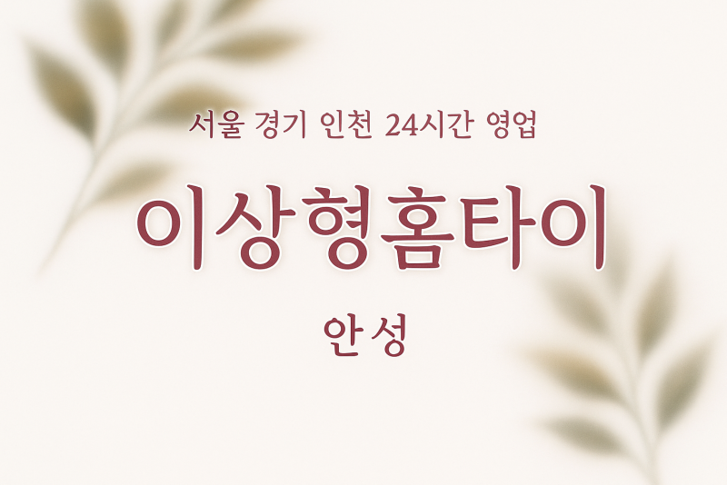 가사동이상형홈타이, 가사동출장마사지, 안성홈타이, 24시방문마사지