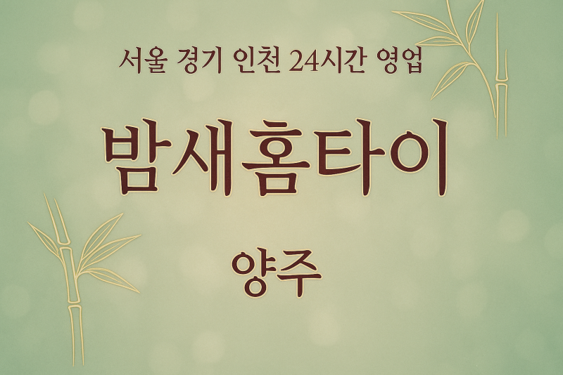 회정동밤새홈타이, 회정동출장마사지, 양주홈타이, 24시방문마사지