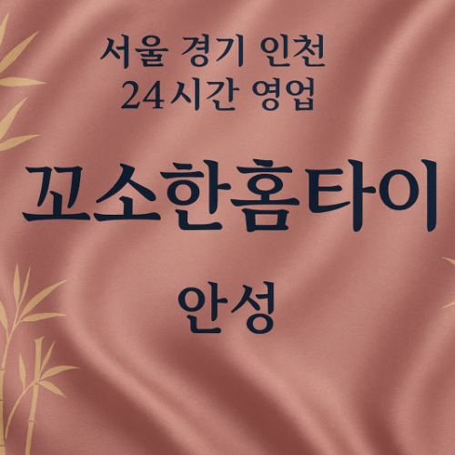 삼죽면꼬소한홈타이, 삼죽면출장마사지, 안성홈타이, 24시방문마사지