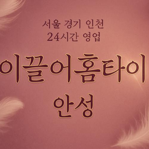 보개면이끌어홈타이, 보개면출장마사지, 안성홈타이, 24시방문마사지