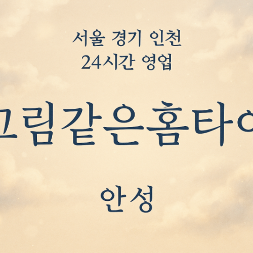 공도읍그림같은홈타이, 공도읍출장마사지, 안성홈타이, 24시방문마사지