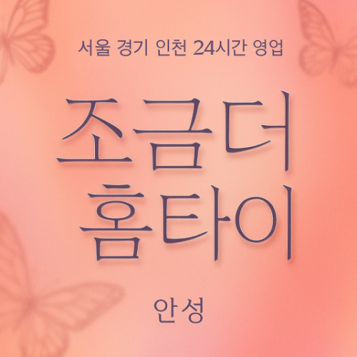 현수동조금더홈타이, 현수동출장마사지, 안성홈타이, 24시방문마사지