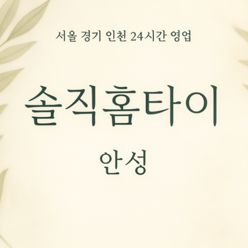 신소현동솔직홈타이, 신소현동출장마사지, 안성홈타이, 24시방문마사지
