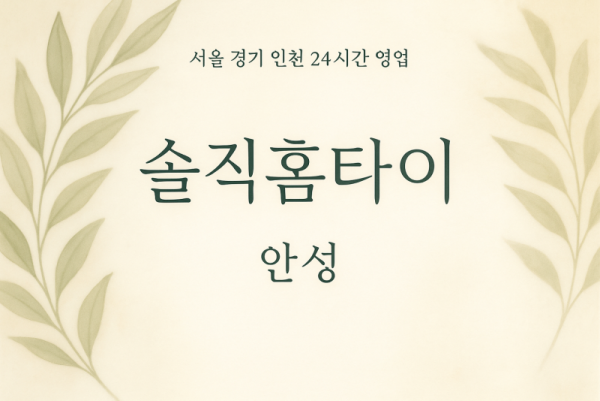 신소현동솔직홈타이, 신소현동출장마사지, 안성홈타이, 24시방문마사지