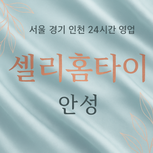 도기동셀리홈타이, 도기동출장마사지, 안성홈타이, 24시방문마사지