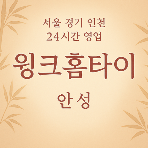 금석동윙크홈타이, 금석동출장마사지, 안성홈타이, 24시방문마사지