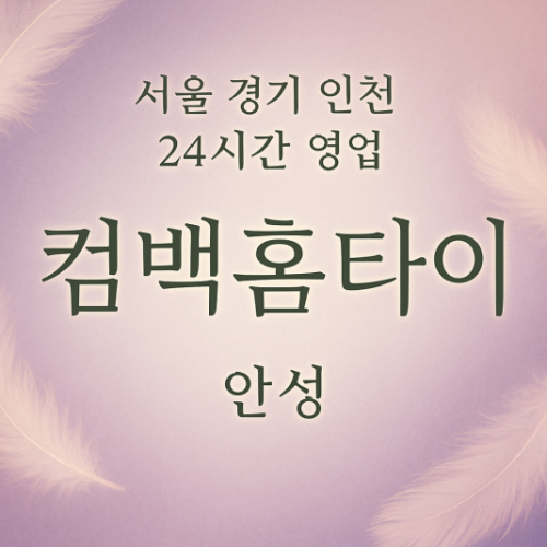 아양동컴백홈타이, 아양동출장마사지, 안성홈타이, 24시방문마사지