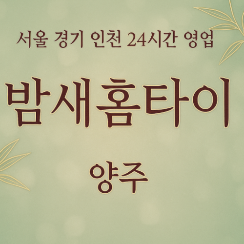 회정동밤새홈타이, 회정동출장마사지, 양주홈타이, 24시방문마사지