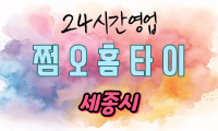 세종 연기면 출장마사지 - 쩜오홈타이
